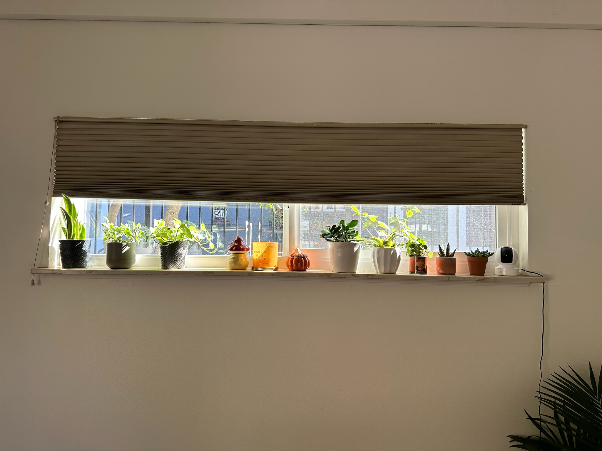 window shelf