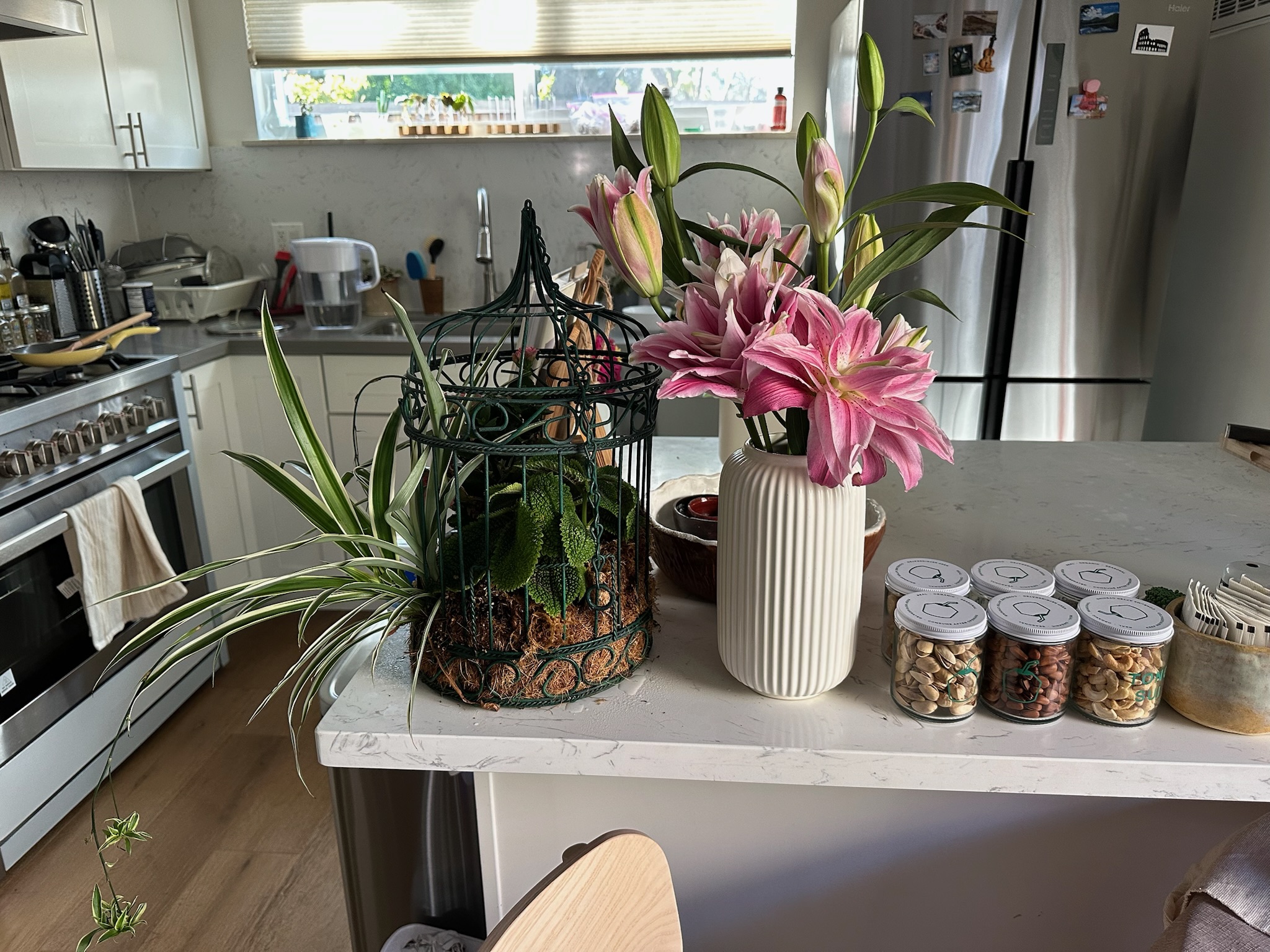 moss plant and lilies